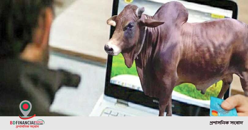 আজ থেকে কোরবানির ডিজিটাল হাট শুরু