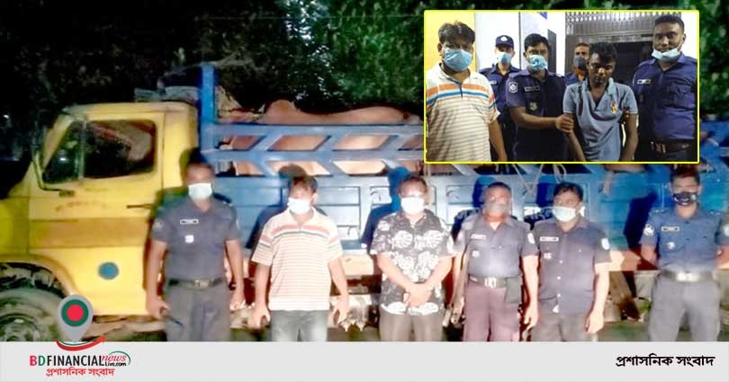 সাভারে ডাকাতি হওয়া ১১টি গরুসহ ট্রাক উদ্ধার করল মানিকগঞ্জ থানা পুলিশ