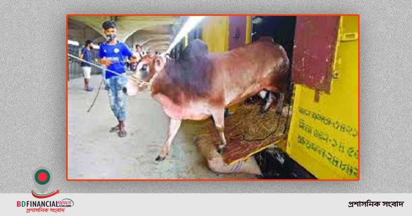 আগামী ১৭ থেকে ১৯ জুলাই পর্যন্ত কোরবানির পশু পরিবহনে বিশেষ ট্রেন